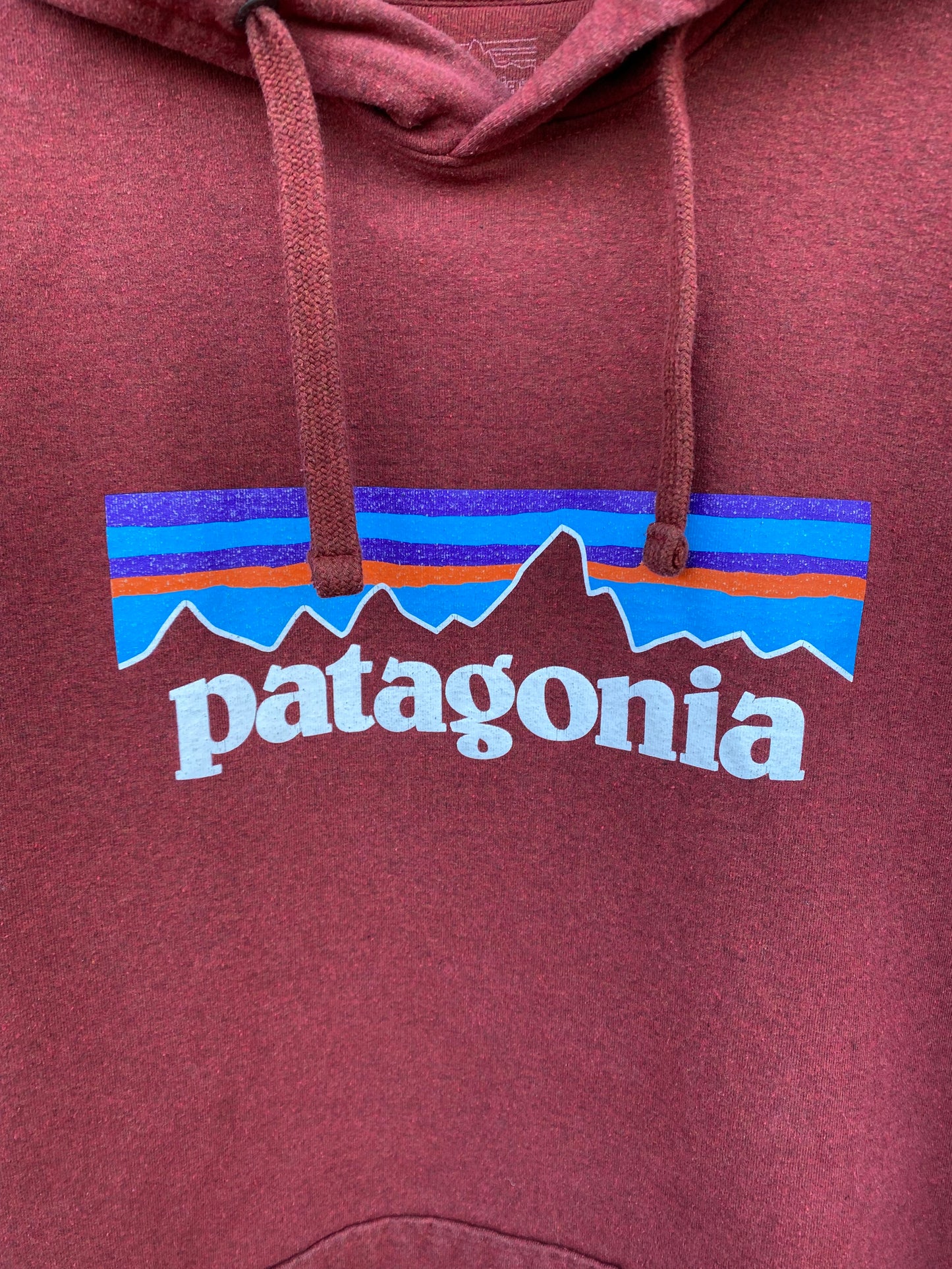 Patagonia Hoodie - L