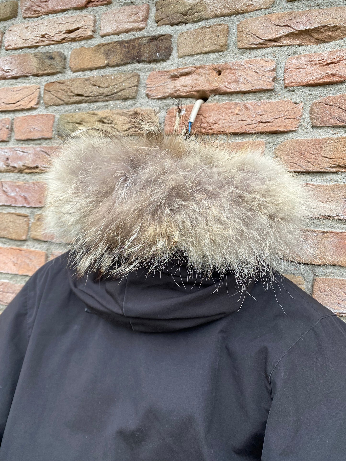 Canada Goose Expedition Parka - 3XS